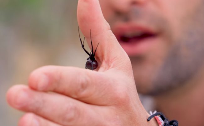 ...but they're definitely painful.