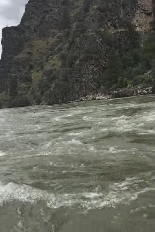 The boat captain was quick to think of a solution that would help propel the bear to safety.