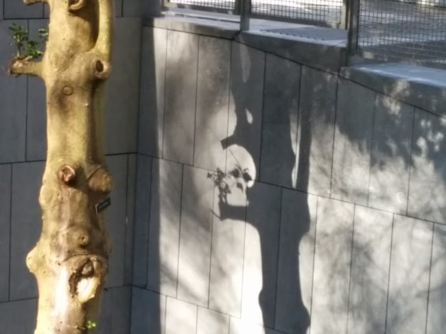 Looks like this tree is hiding a deadly secret. 