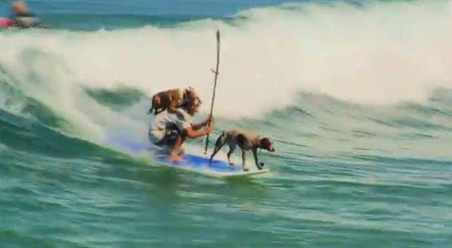 Not only do they really enjoy riding on his paddle board, but they can jump on and off their dad's back without falling into the ocean.