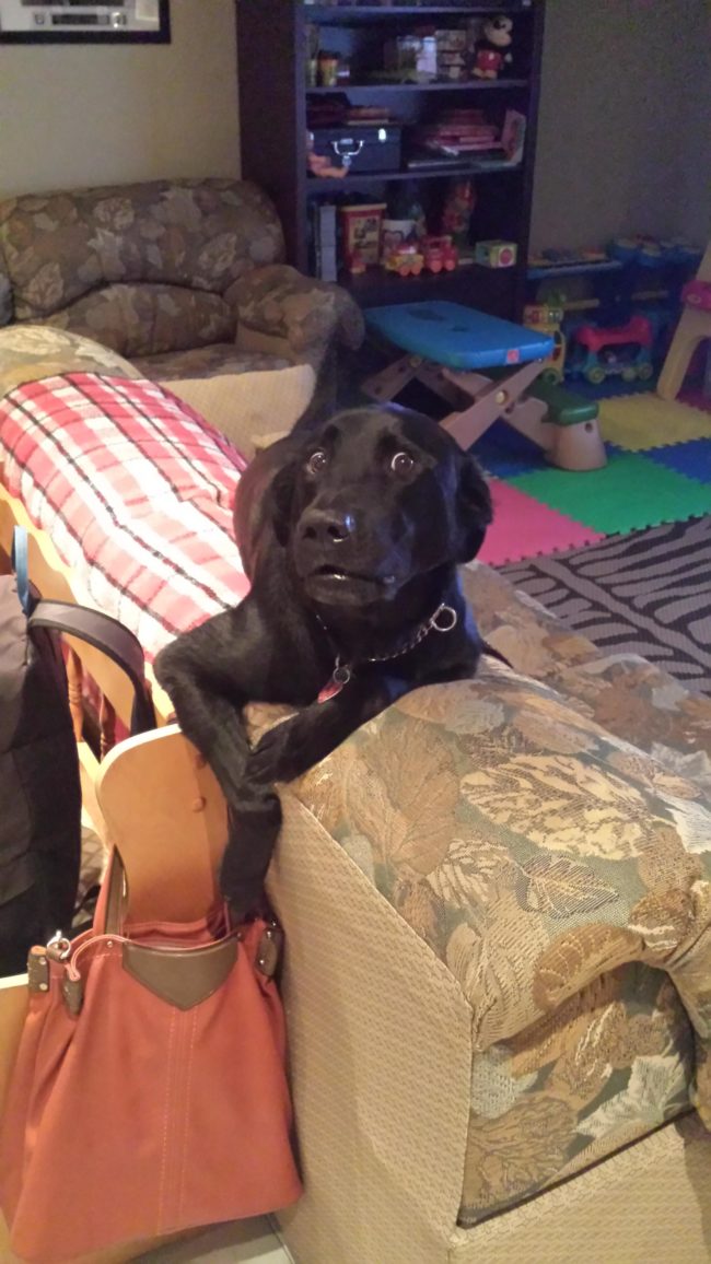 "Caught him trying to pickpocket my mom's purse."