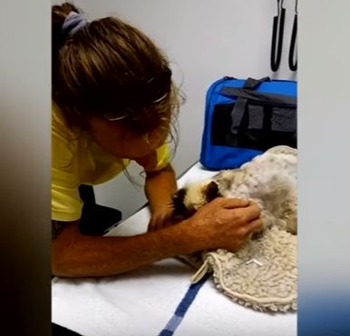 ...where she was finally reunited with her dad.