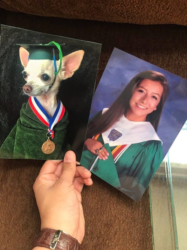 Here the pup, whose name is Dixie, is graduating with distinction.