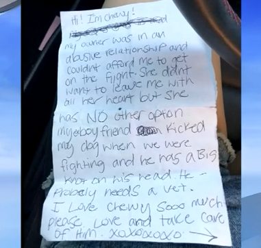 The note reads, "Hi! I'm Chewy! My owner was in an abusive relationship and couldn't afford me to get on the flight. She didn't want to leave me with all her heart but she has NO other option. My ex-boyfriend kicked my dog when we were fighting and he has a big knot on his head. He probably needs a vet. I love Chewy sooo much please love and take care of him."