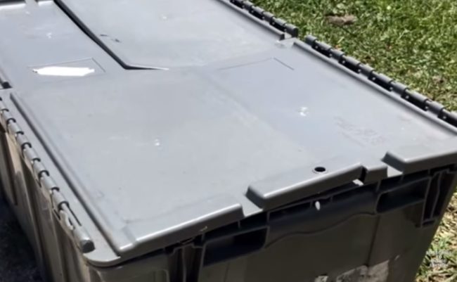 When people at the Southeast Volusia Humane Society noticed a plastic container in their parking lot, they were shocked and concerned to find nine kittens inside. The poor things had been sitting in over 100-degree heat for at least an hour after being dropped off.