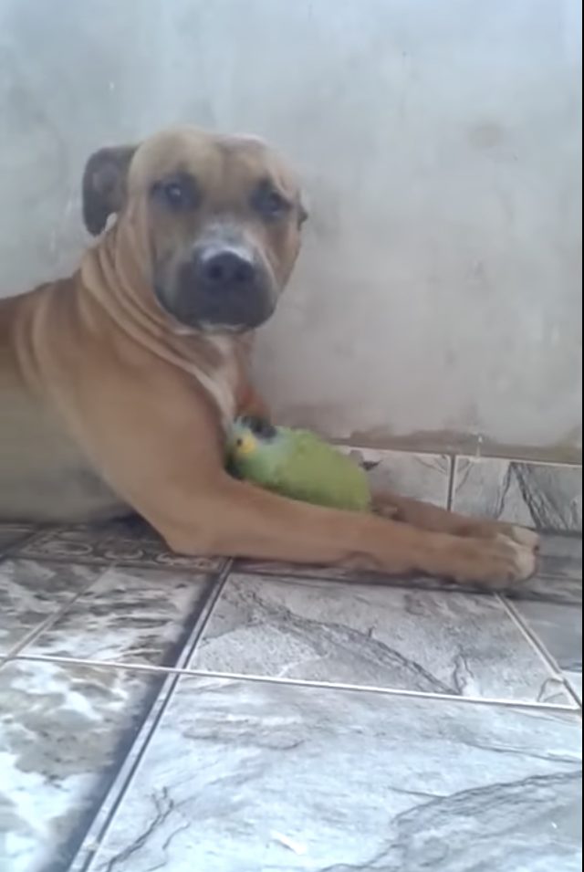 Look at these two sharing a warm (if not a little confusing) embrace.