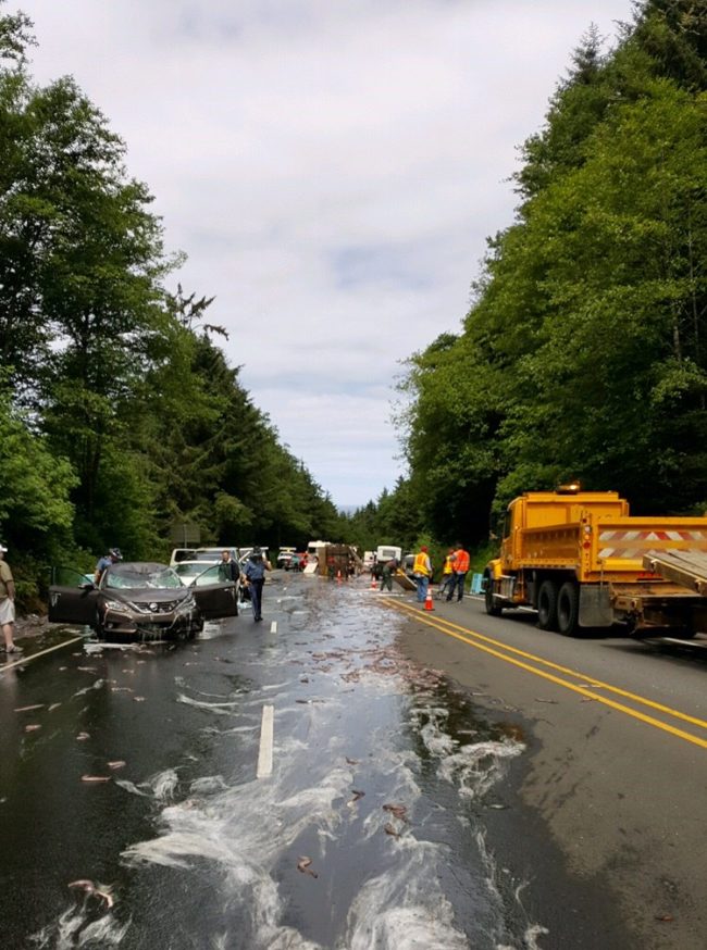 Workers began using bulldozers and hoses to gather up the fish and get them off the road. 