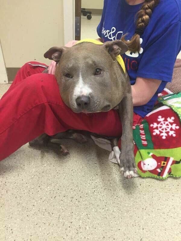 And during her recovery, she got all the love and care she could've ever asked for.