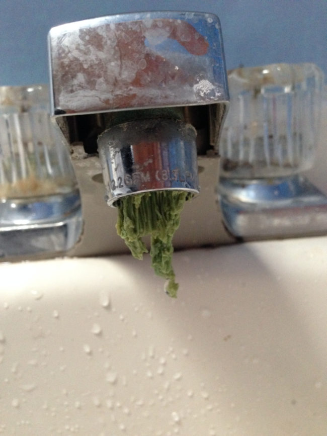 Might want to find a different sink to brush your teeth in, buddy.