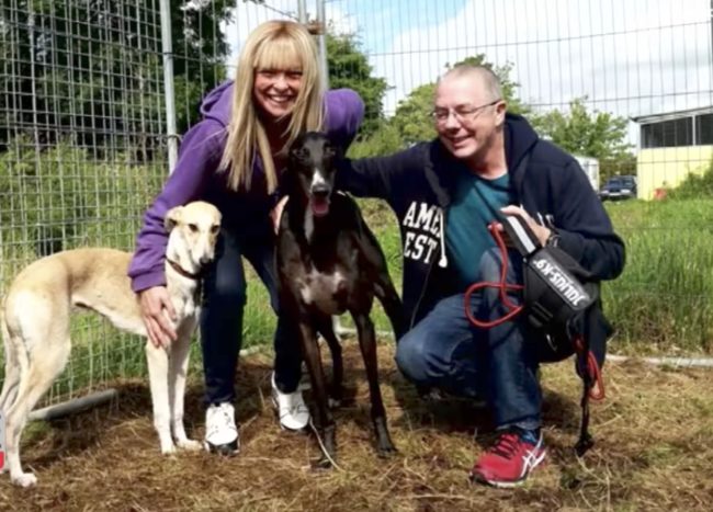 Just six months after making her way to PAWS Animal Rescue, Angel has done a complete 180 in the happiness department. She's even found a forever home!