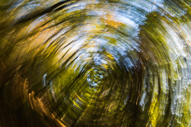 Neuroscientist Christophe Lopez and other researchers compared two sets of 210 patients matched by the same ages and genders. One set had a history of dizziness, while the other did not.