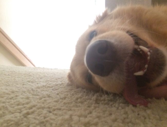 "Woke up hungover on the floor. She wanted to be by my side all night."