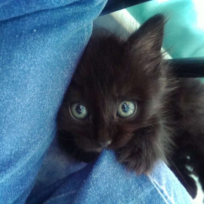 "This is how she waits by the pillow for us to wake up."