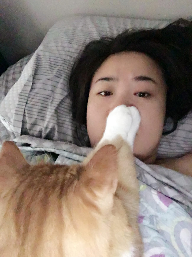 "When you wake up to your cat tryna give you eternal sleep."