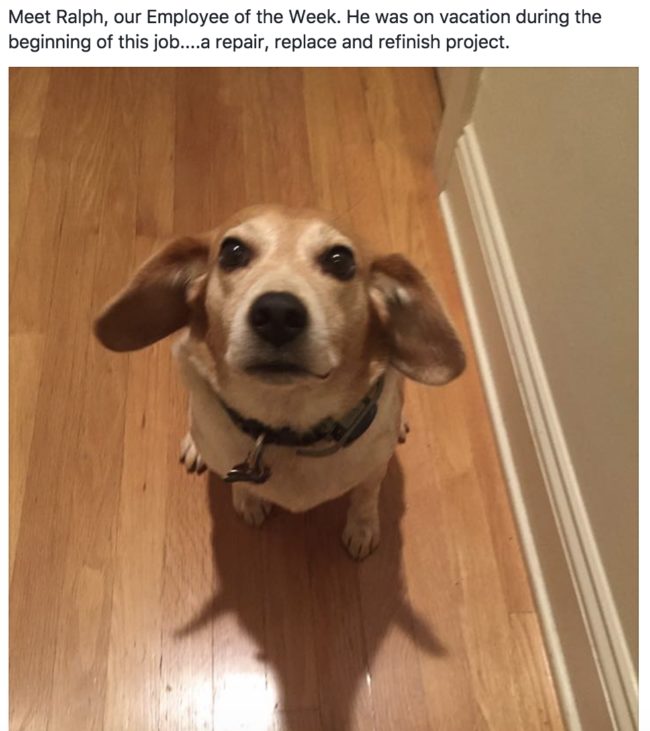 But there are plenty more gems on Facebook. Here are a few of our favorites!