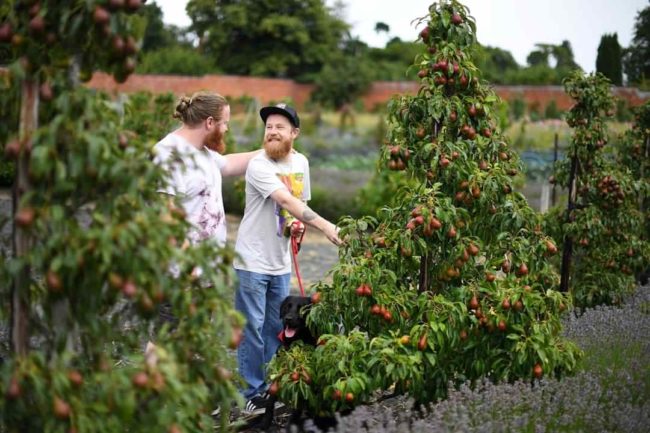 He did a surprisingly spectacular job if you ask me...