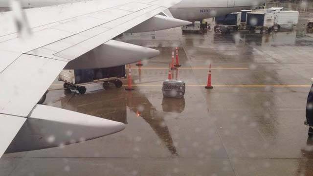 Passmore alerted flight attendants and United staff to the dog's situation and tweeted the following photo, which then went viral. Outraged pet owners wanted United to answer for their actions.