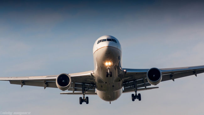 Passmore also isn't satisfied with the response, but she hopes she's done some good. "I don't think my posting the image made a difference to the dog, but perhaps future dogs will receive better treatment from airlines as a result of this public outcry," she said.