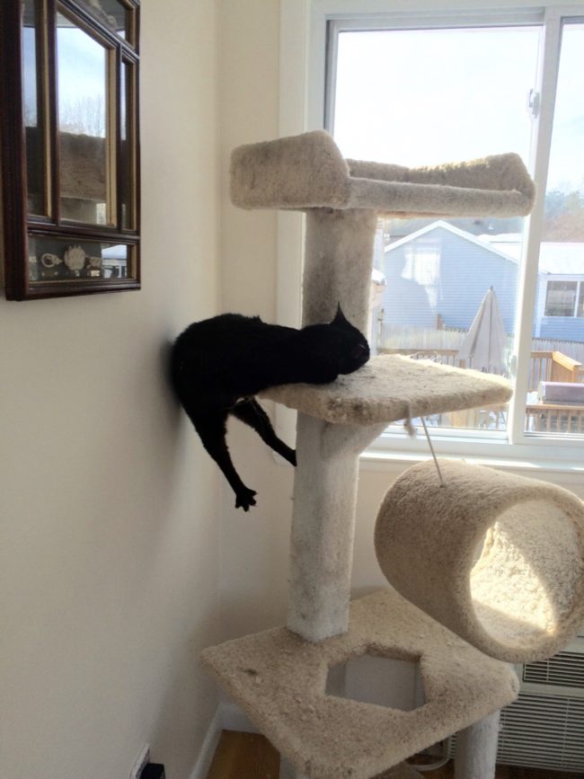 Um, that's not what sleeping is supposed to look like.