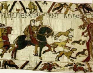 Conquistadors specifically used Irish greyhounds to maintain their territory, but sometimes they would just set their dogs loose on indigenous people "for sport." 