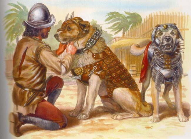 Juan Ponce de Le&oacute;n had a dog named Becerrillo who was famous for his brutality. In a night raid, he once killed 33 people in one hour, and he was seen "with his mouth dripping from the blood of his victims."