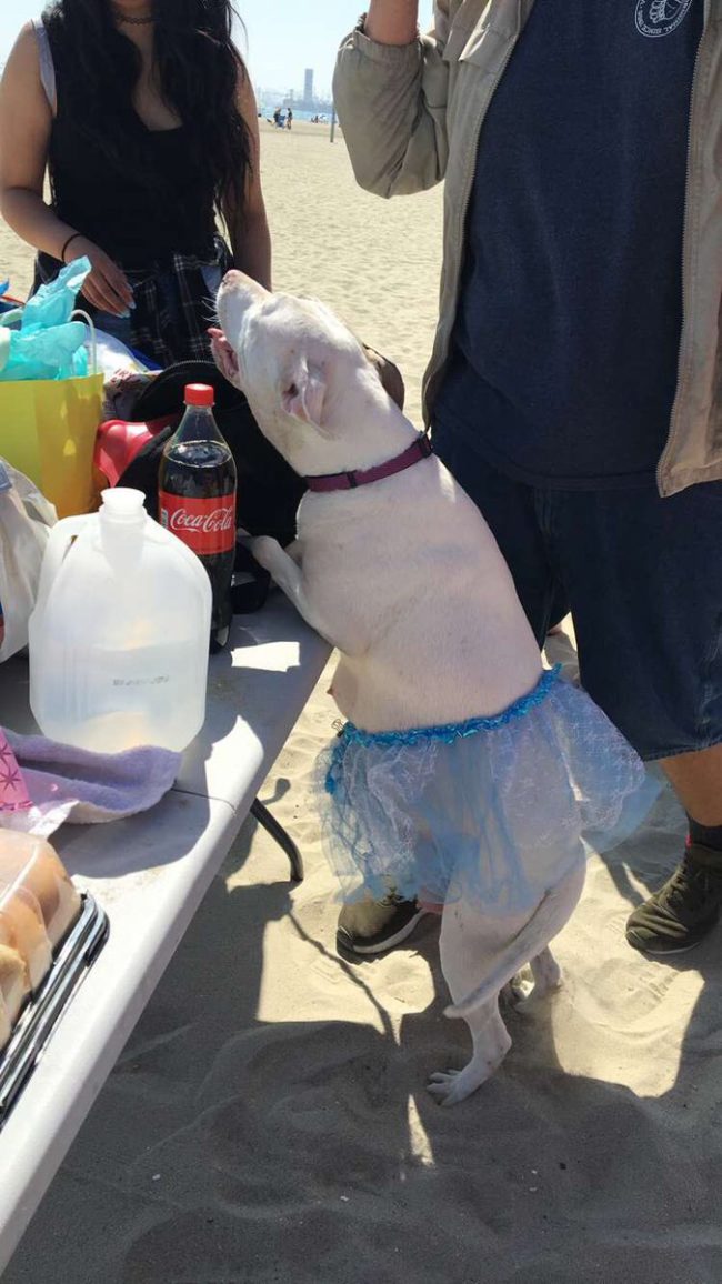 ...and got loved and pampered, as every expecting mom should!