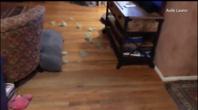 That's when he noticed the mess down the hall.