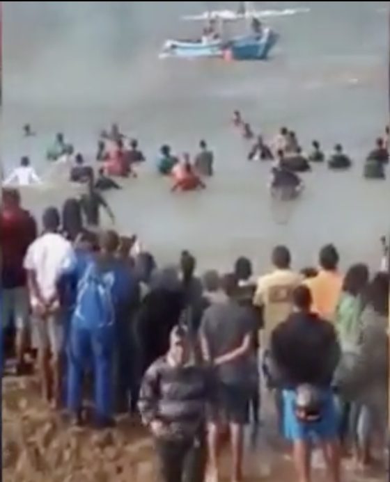 However, when none of these rescue efforts worked out, it was the whale&rsquo;s own determination to push itself further out to sea that eventually led the animal back to safety.