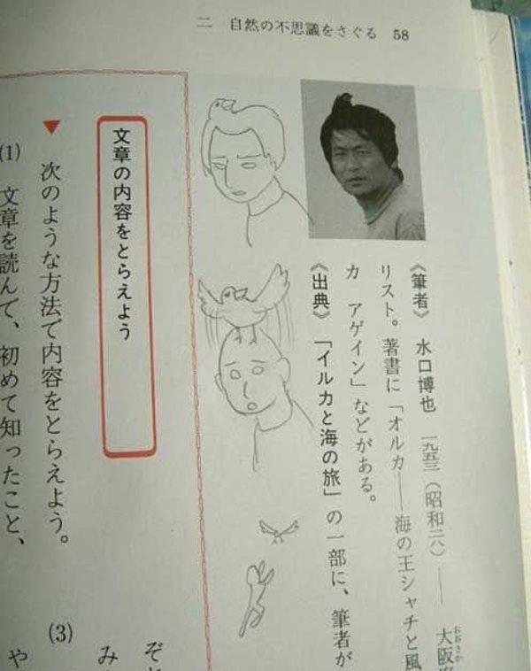 Now THAT is a hairdo.