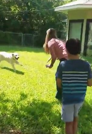 Then they slowly realized that this was Lola and that she'd come back home! 