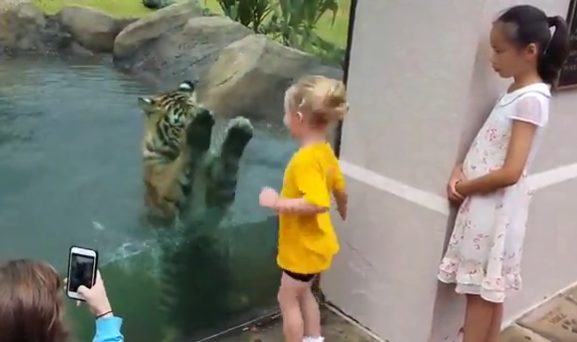 Taylor loved it as well and had a blast 'playing' with her new friend.