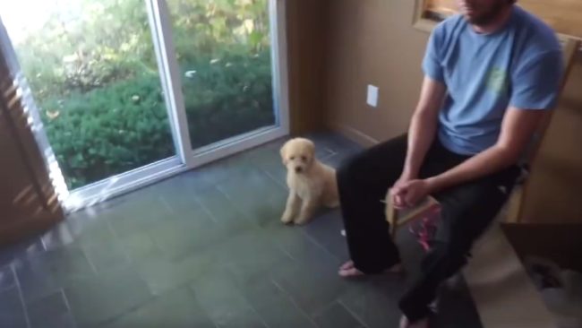 ...he'd actually gone to pick up this little sweetheart so he could surprise Ava.