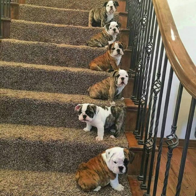 It's okay to go against the grain every once in a while.