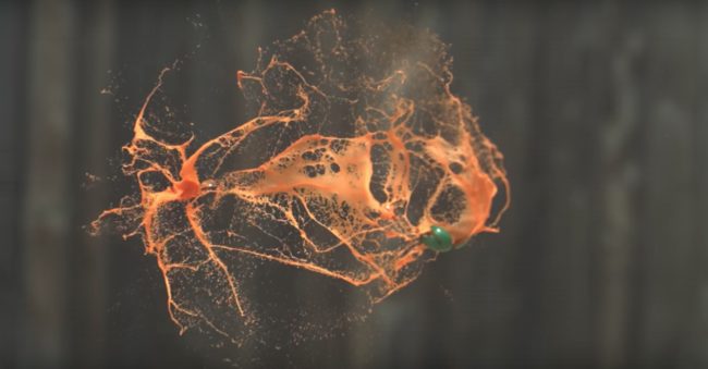 The results? Well, they're pretty incredible to see.