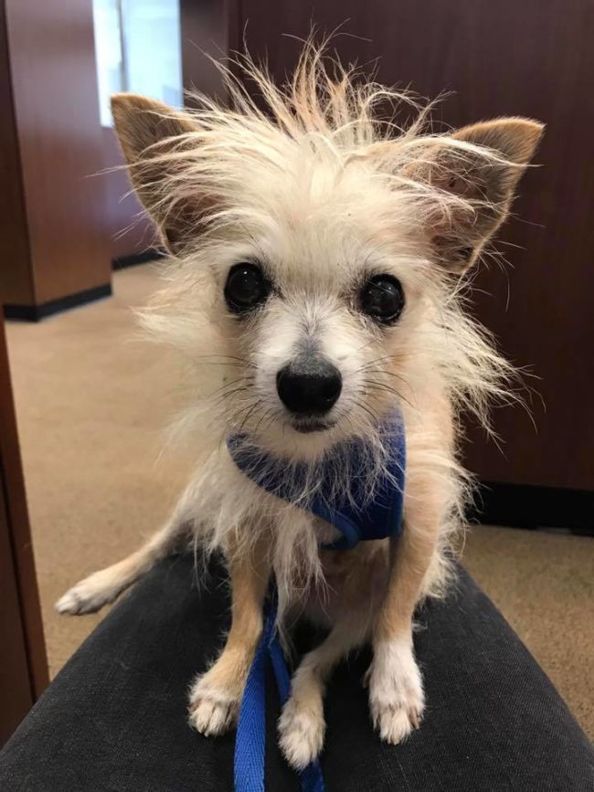 We all have bad hair days every now and then.