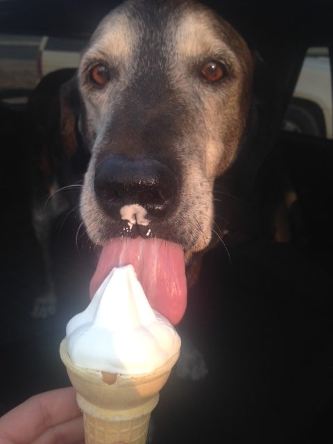 Even the young at heart scream for ice cream.