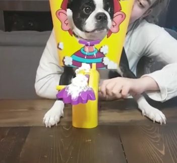 Little did Jack know that his face would soon be covered in cream...or so his family thought.