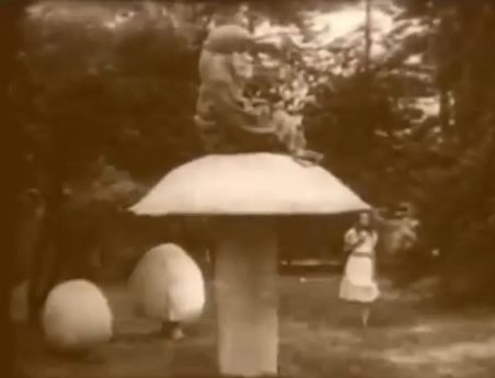 ...and the caterpillar...