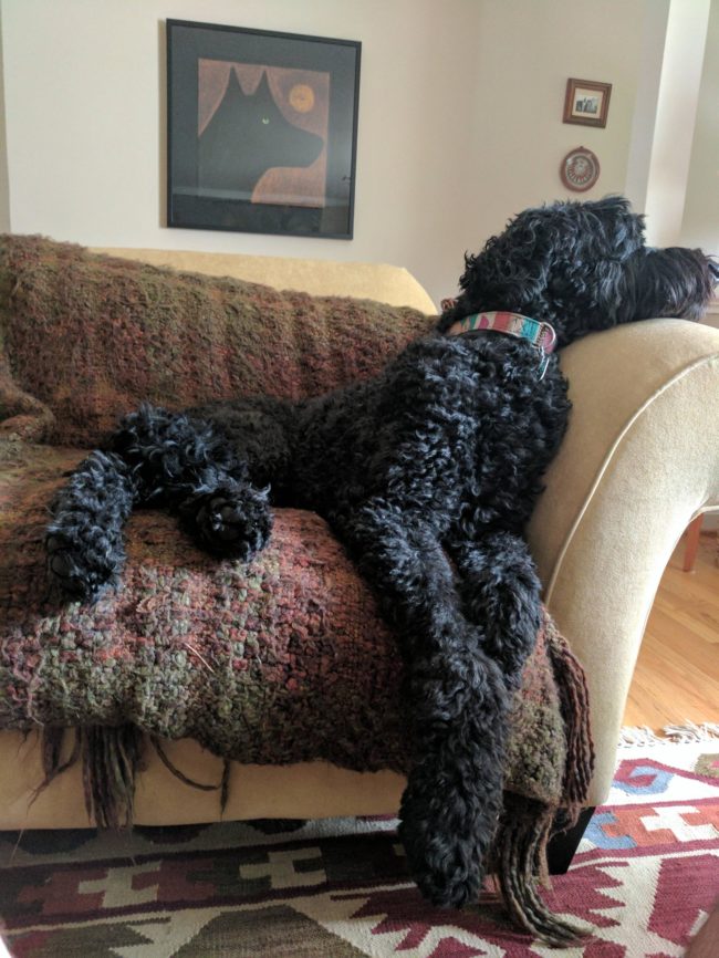 "Oh you want your spot back? Didn't anyone ever tell you to respect your elders?"