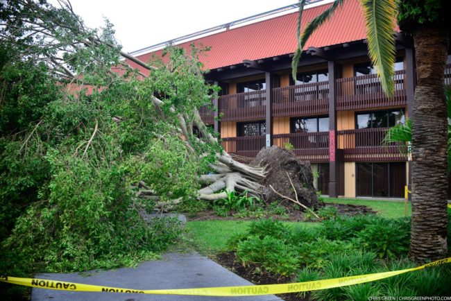 And with the exception of the Fort Wilderness Campground and the Saratoga Springs Treehouse Villas, the park was able to return to normal in almost no time at all.