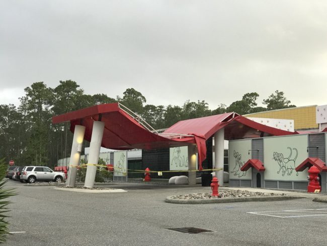 But perhaps the most visible destruction took place at Best Friend Pet Care.