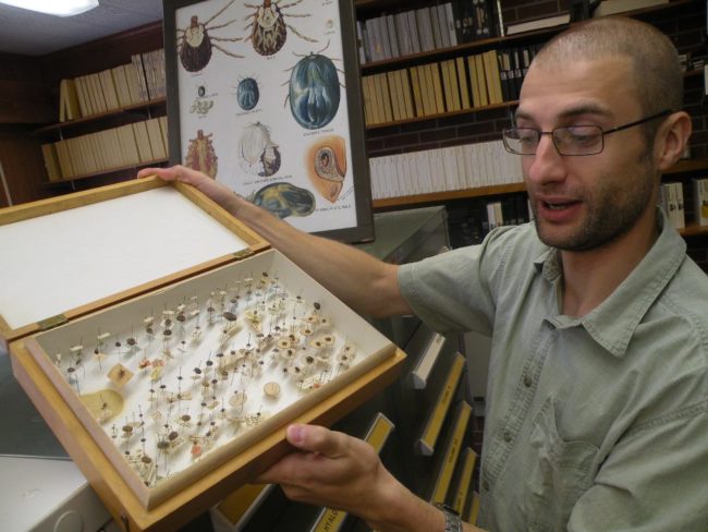 They have about 96 percent of the world's 900 tick species, and that includes all of the ones found in the United States.