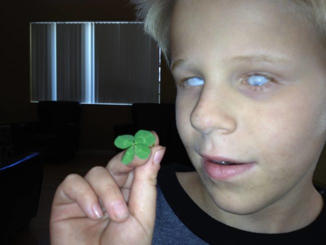 "My blind son found a four leaf clover on his own. What are the odds?"