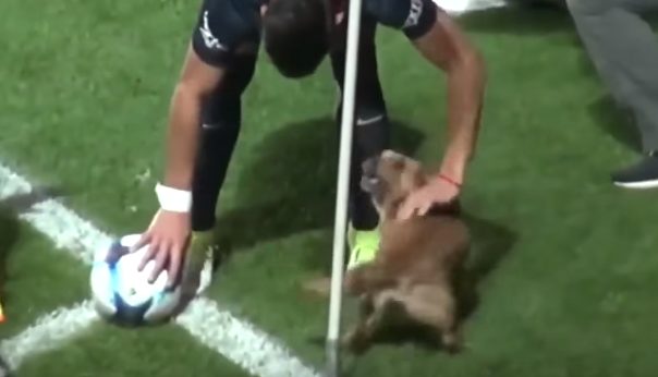 And when players tried to grab her, she gave them plenty of sass.