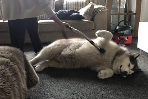 Yaaaaaaaas, get that massage! What I would give to be that relaxed, ever.