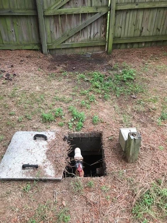 "My friend's septic tank looks like Rafiki from Lion King."