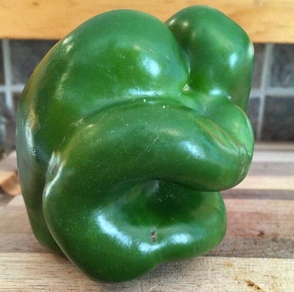 "I grew a rare bell Pepe."