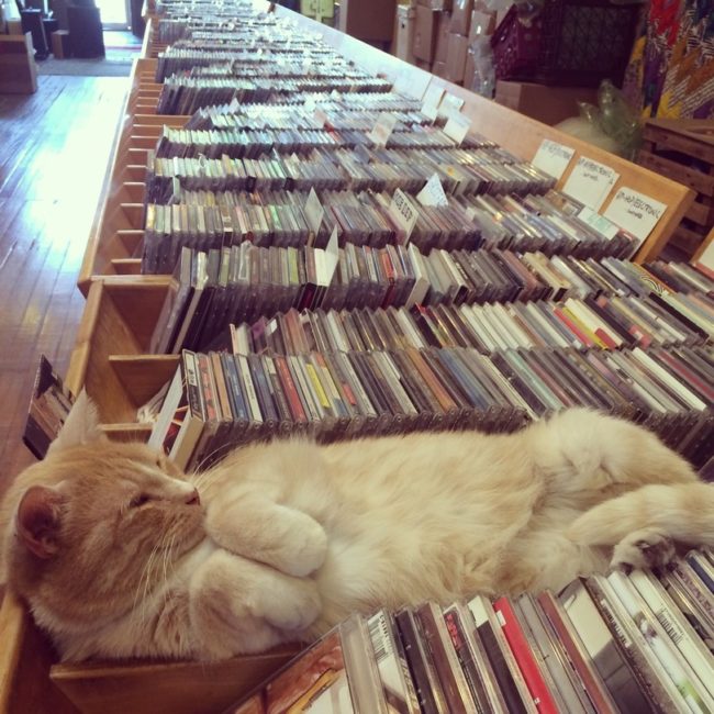 This record store employee just got caught sleeping on the job.