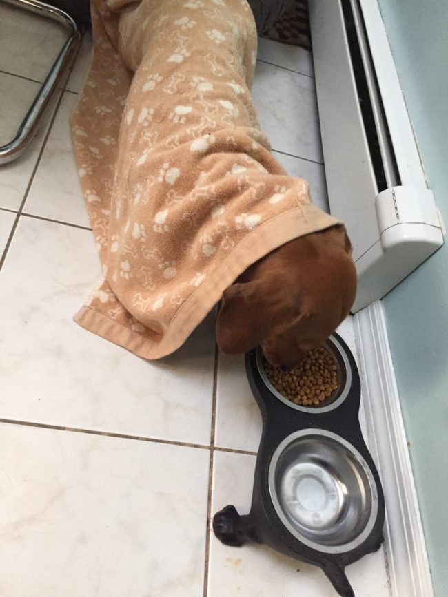 Someone's going straight back to bed after breakfast.