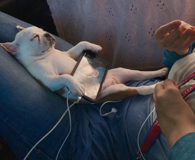 "Ah, yes. The good life."